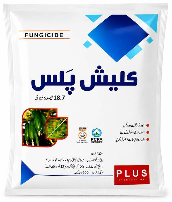 CLASH PLUS