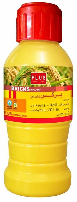 BRICKS