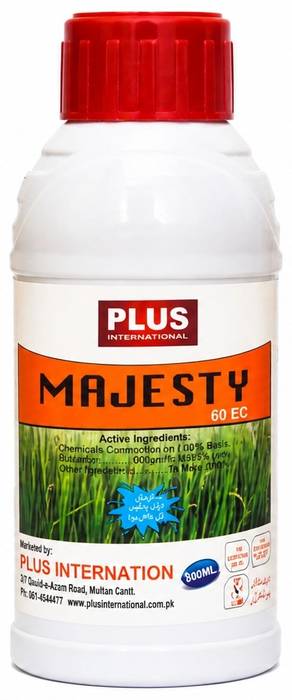 MAJESTY