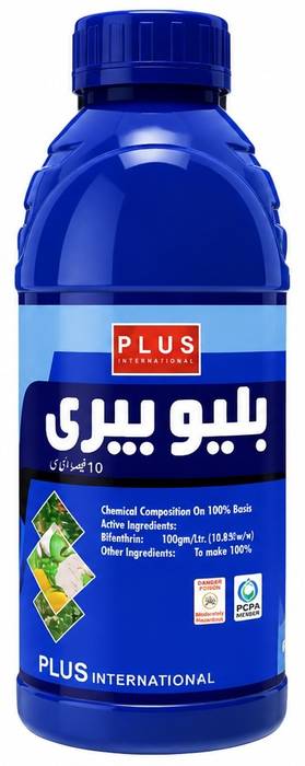 BLUE BERRY
