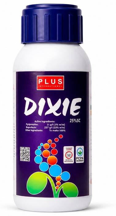 DIXIE