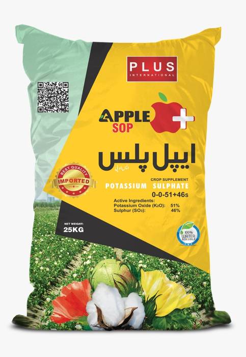 APPLE PLUS