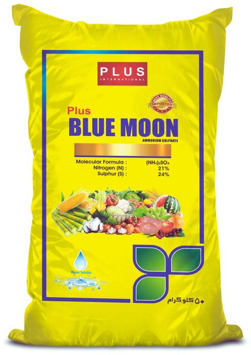 BLUE MOON