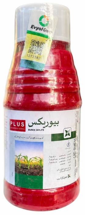 BUREX
