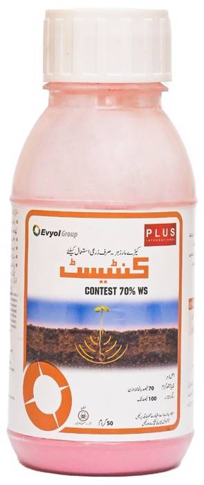 CONTEST (WS)