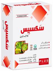 سکسیس