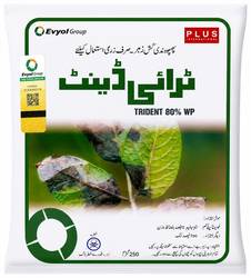 ٹرائیڈینٹ