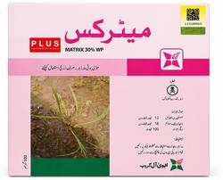 میٹریکس