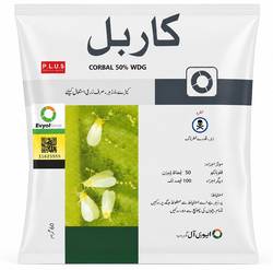 کوربل