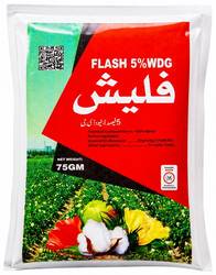 فلیش