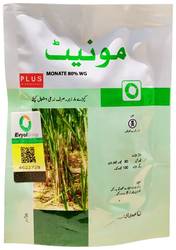 مونیٹ