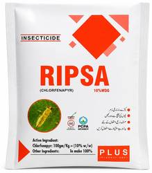 ریپسا