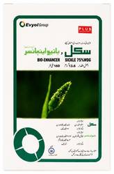 سیکل